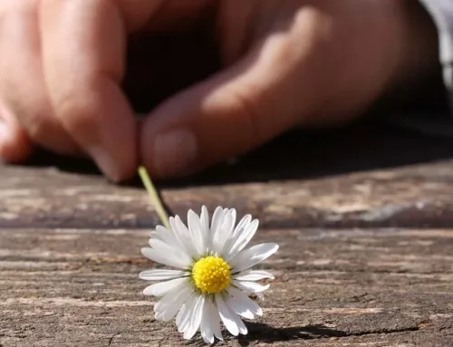 Papa Leão XIV nos convida a rezar pela prevenção do suicídio